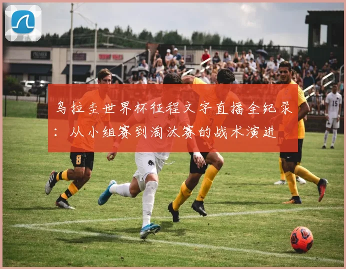 乌拉圭世界杯征程文字直播全纪录：从小组赛到淘汰赛的战术演进