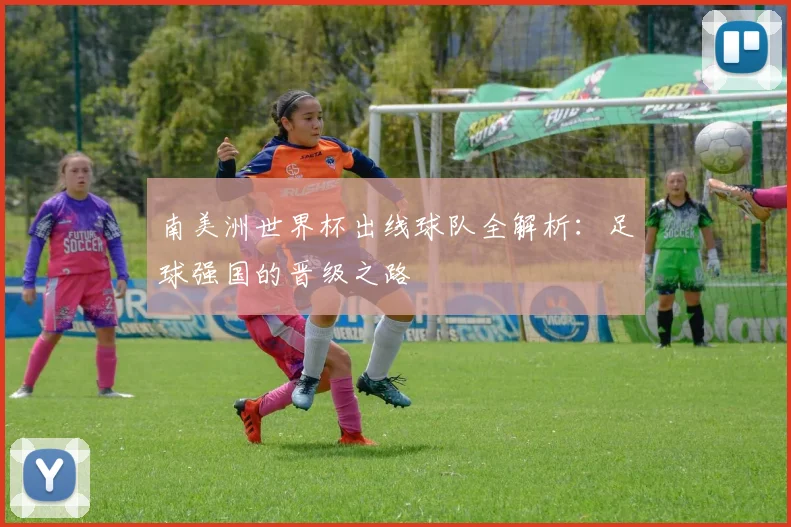 南美洲世界杯出线球队全解析：足球强国的晋级之路