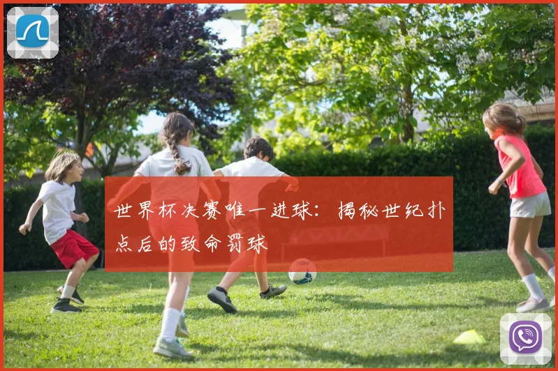 世界杯决赛唯一进球:揭秘世纪扑点后的致命罚球