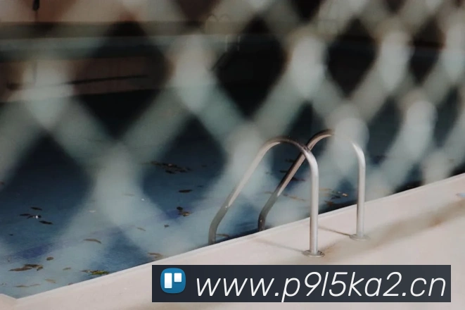 kaiyun在线登录服务体系